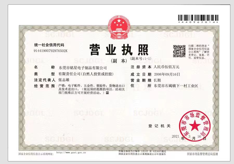 Business License